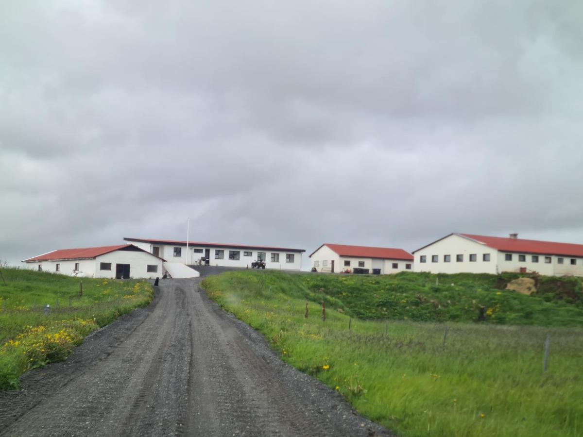 Fiflholt Villa Hvolsvollur ภายนอก รูปภาพ